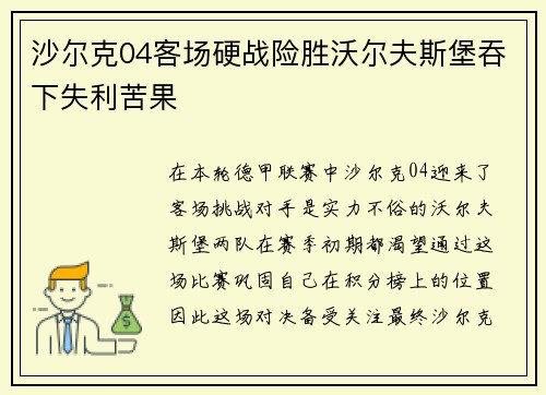 沙尔克04客场硬战险胜沃尔夫斯堡吞下失利苦果